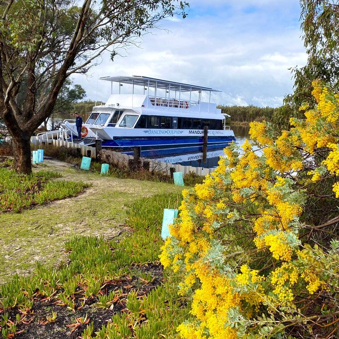 Eco Bbq Boat Cruise