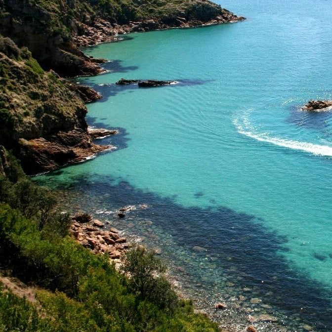 Cape Cruise