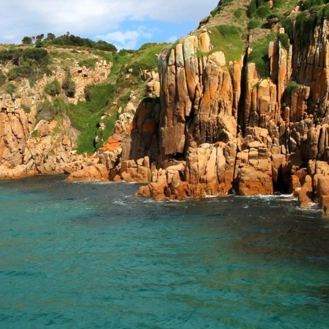 Cape Cruise