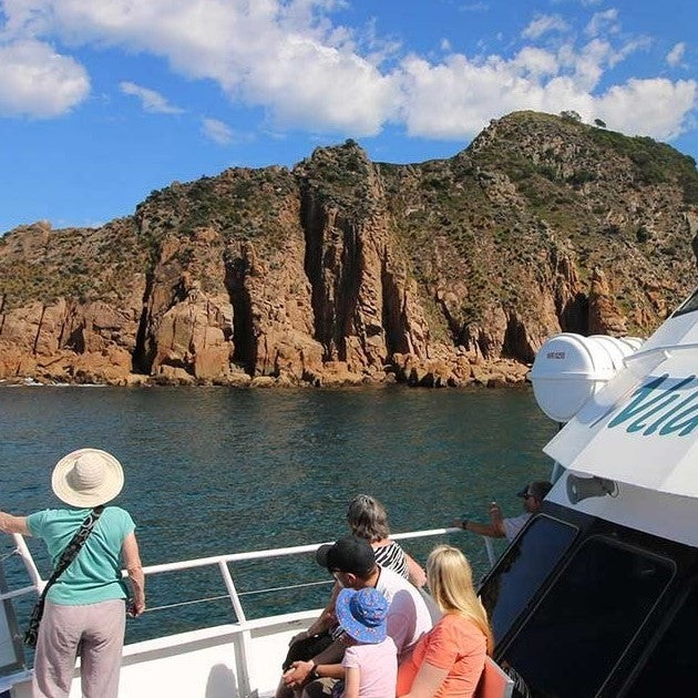 Cape Cruise