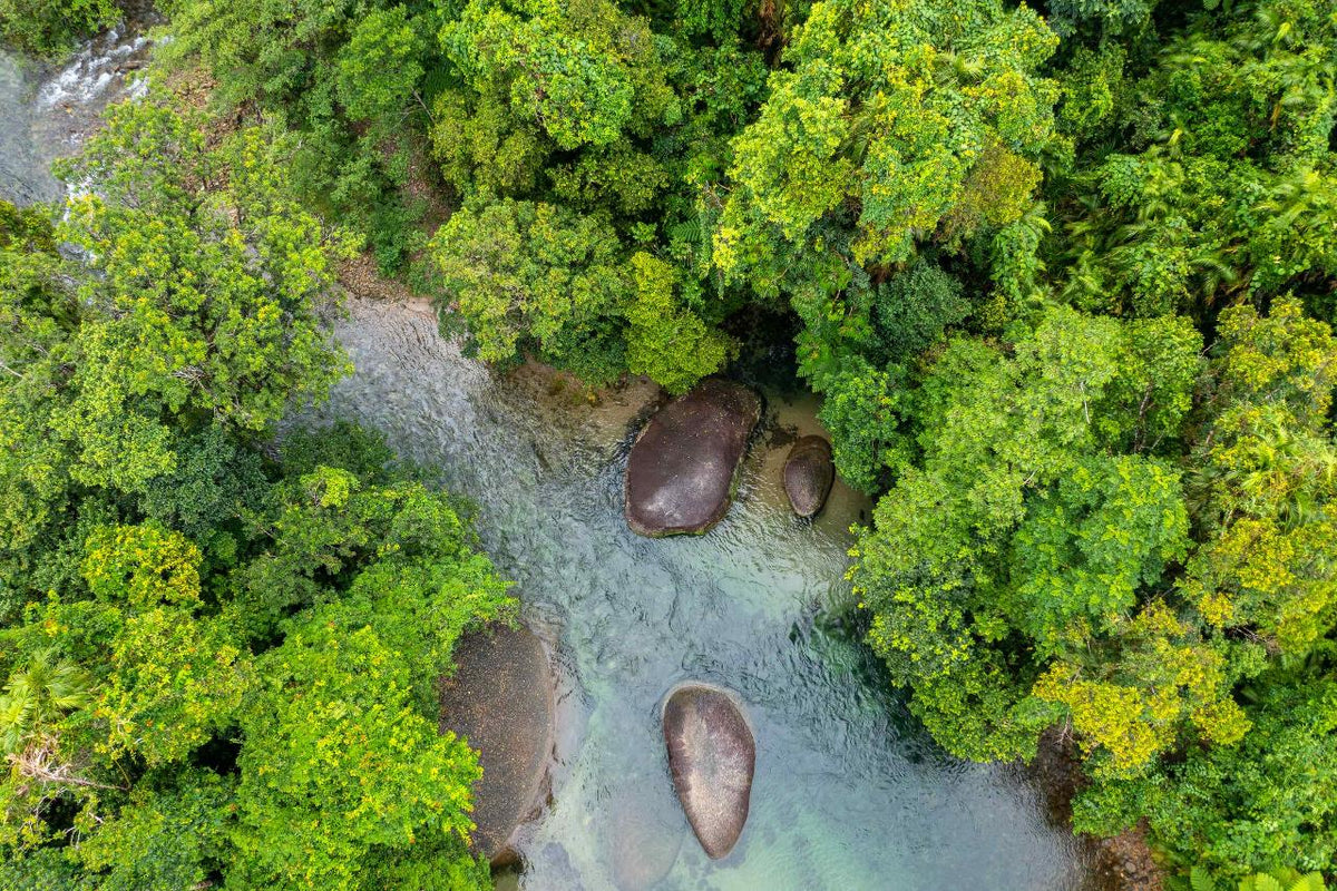 12-Day 4Wd Premium Cape York Tour