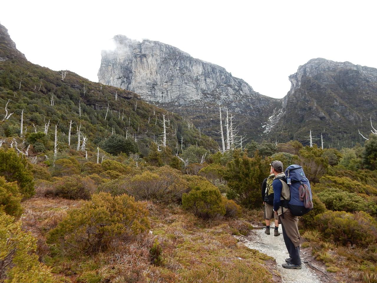 Frenchman's Cap Guided Walk