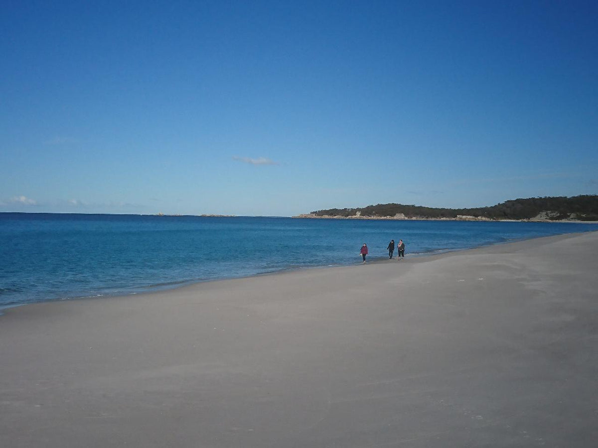 Bay Of Fires Day Tour