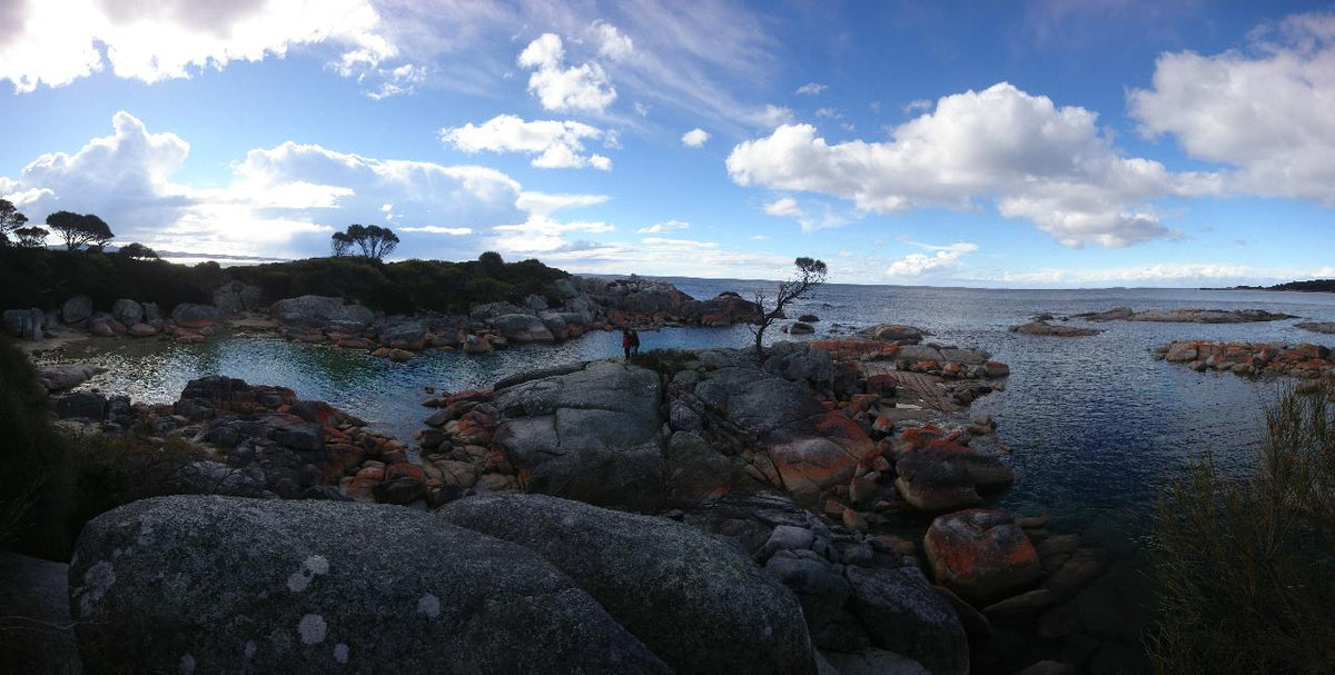 Bay Of Fires Day Tour
