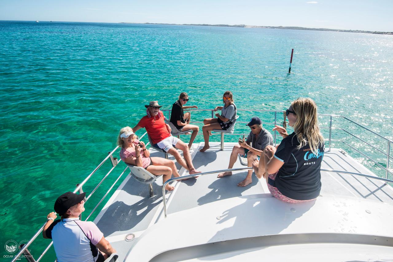 Whale Watching Tour