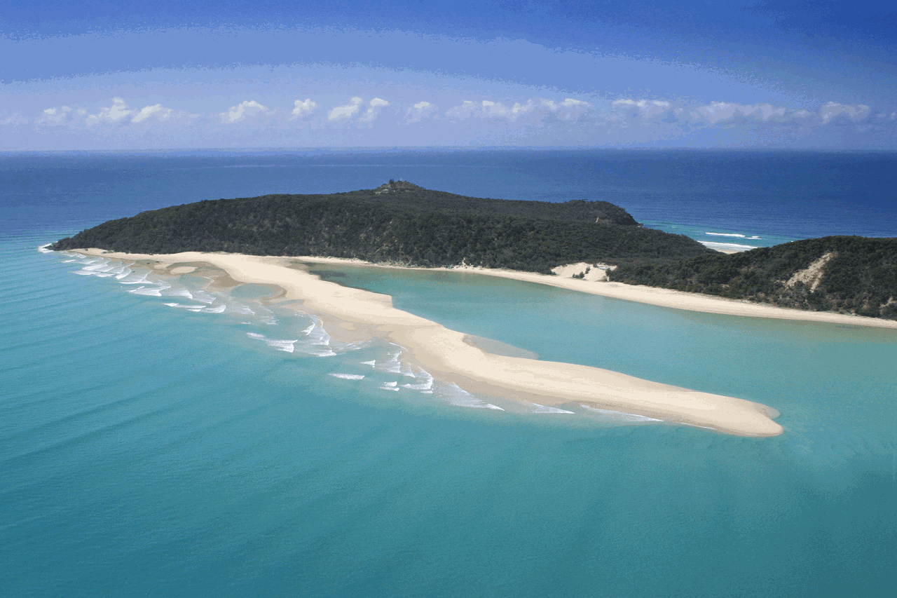 Noosa Dolphin View Sea Kayak & Beach 4X4 Adventure - Day Tour