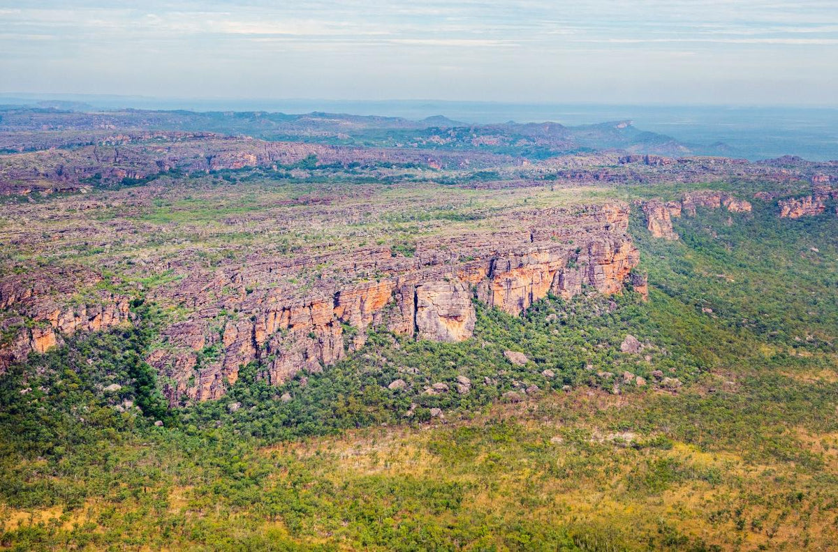 Cooinda 60 Minute Scenic Flight