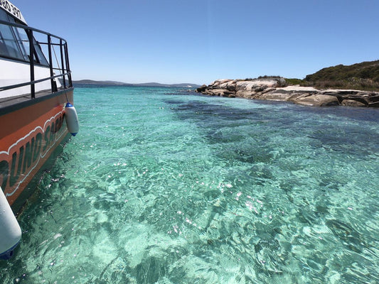 2 Hour Summer Sea Safari (Nov - Apr) Around King George Sound