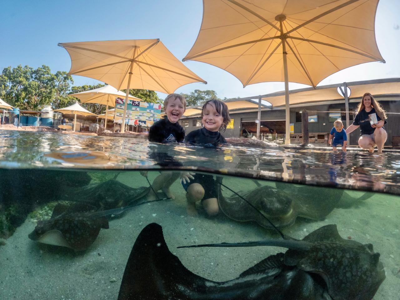 Irukandji Entry Pass & Stepping In The Lagoon Shallows & Shark Food