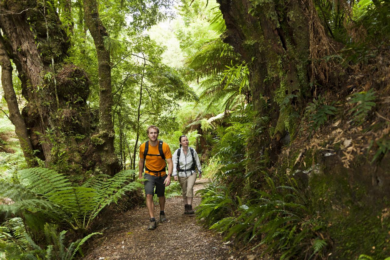 Autopia Tours: Great Ocean Road Twelve Apostles Tour