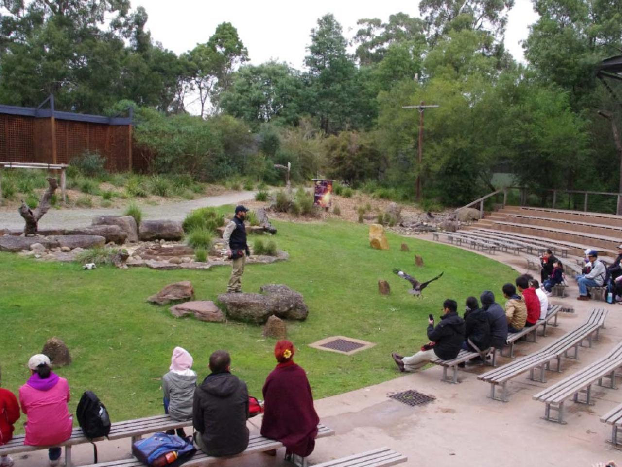 Yarra Valley Safari: Wildlife, Wine And Indulgence