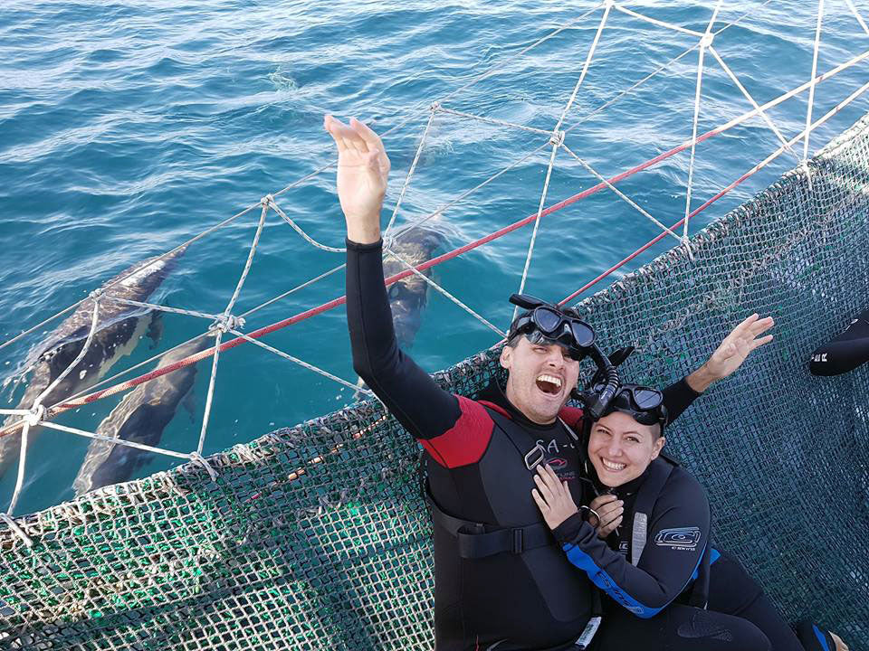 Wild Dolphin Swim & Watch 