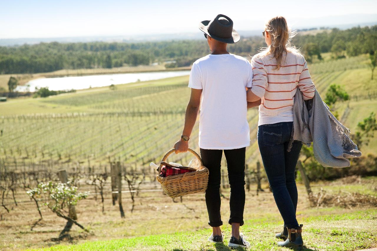 Picnic Among The Vines