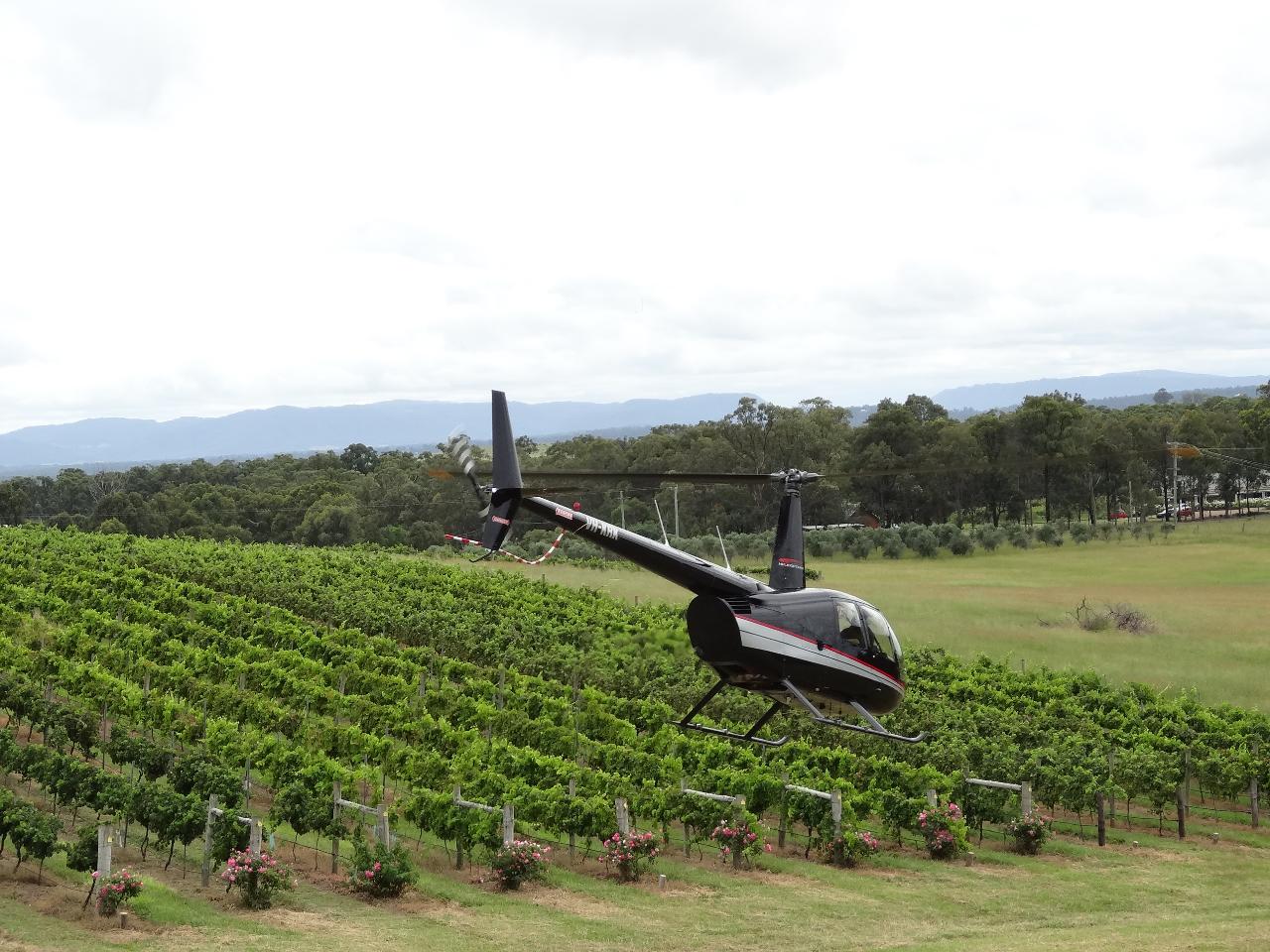 Wine Tasting 2 Venues