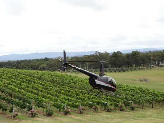 Wine Tasting 2 Venues
