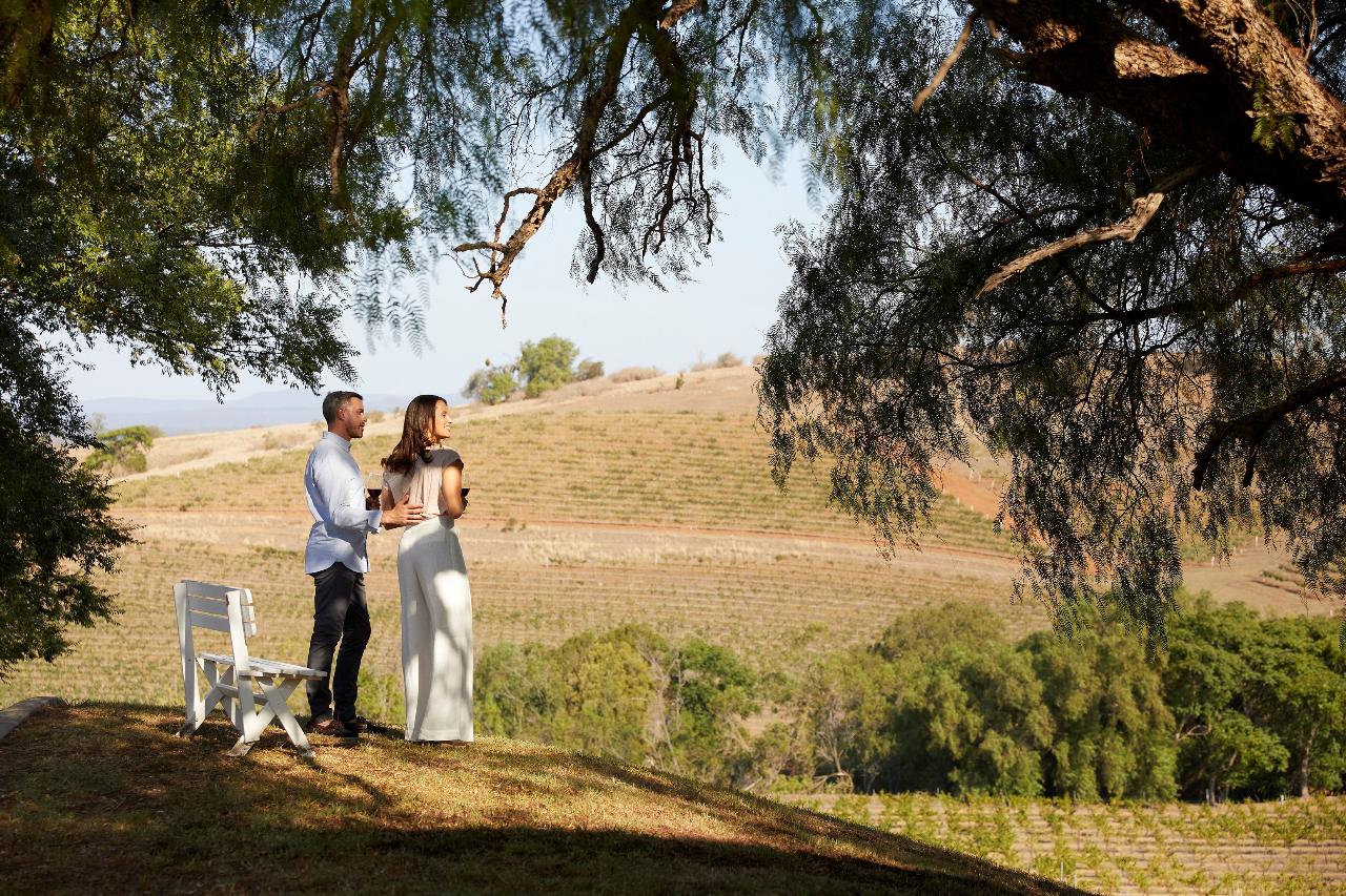 Autopia Tours: Hunter Valley Scenic Wine Tour With Lunch