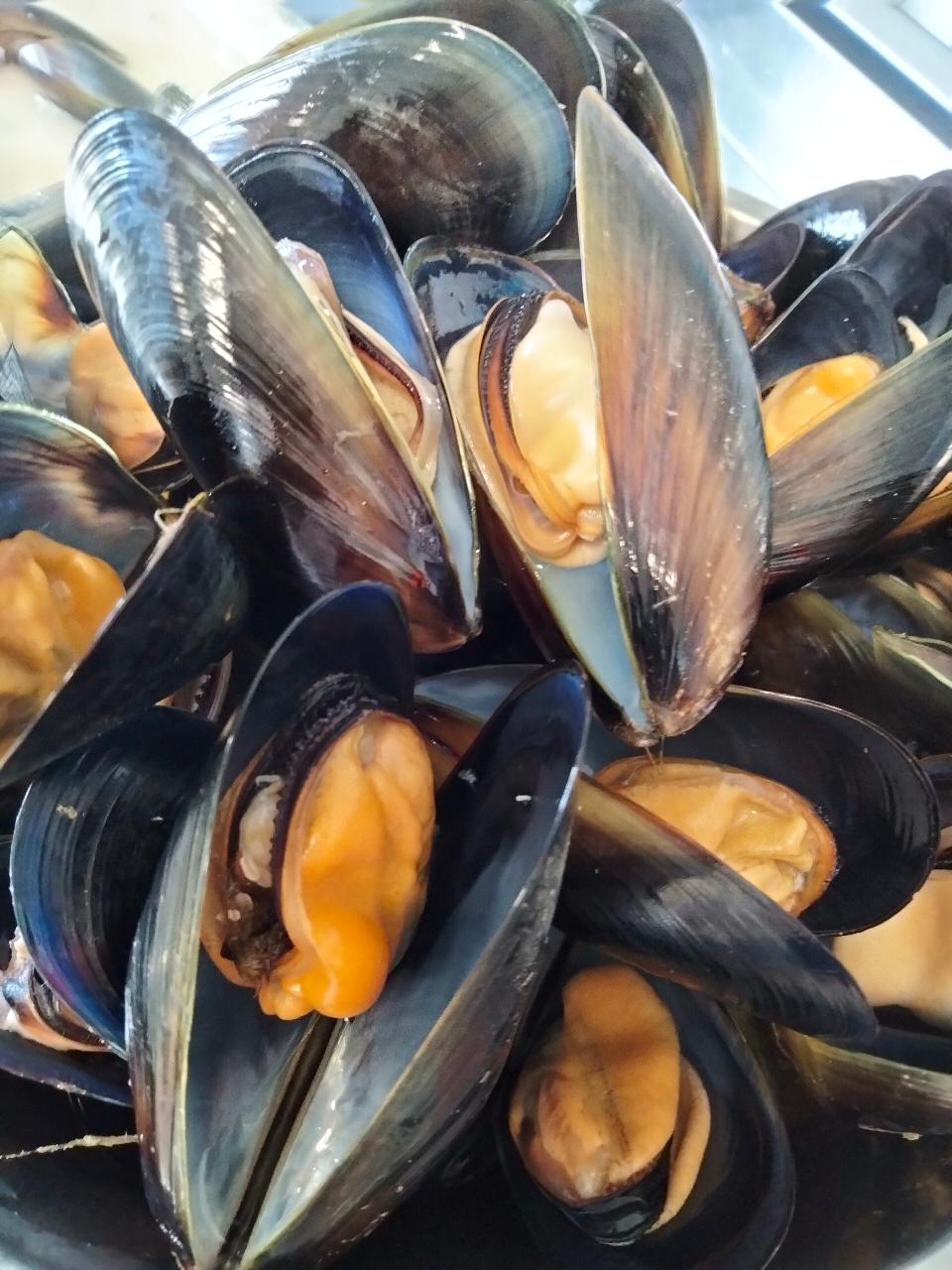 Oyster Farm Lunch With Shucking Lesson And Farming Story