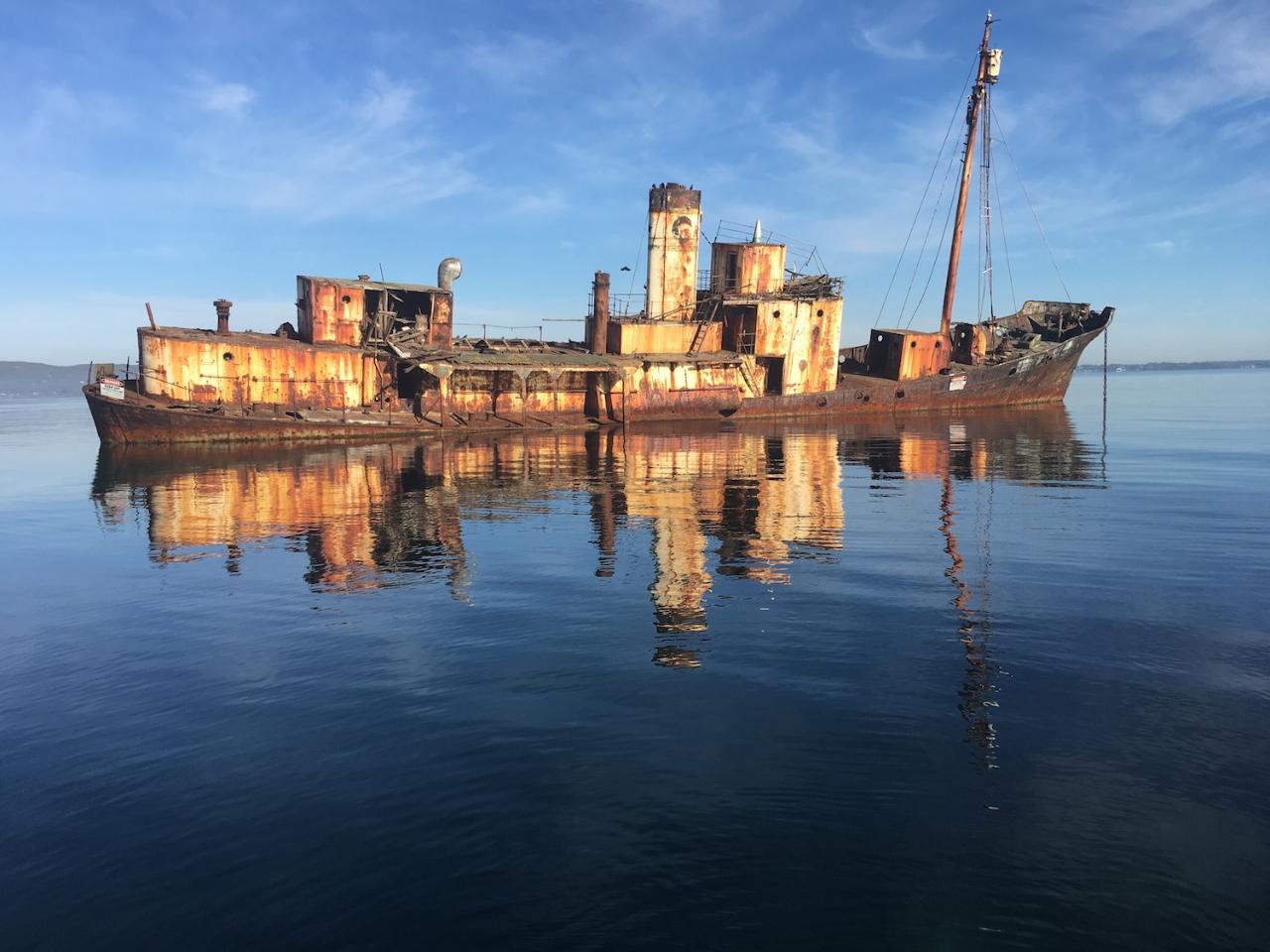 2 Hour Summer Sea Safari (Nov - Apr) Around King George Sound