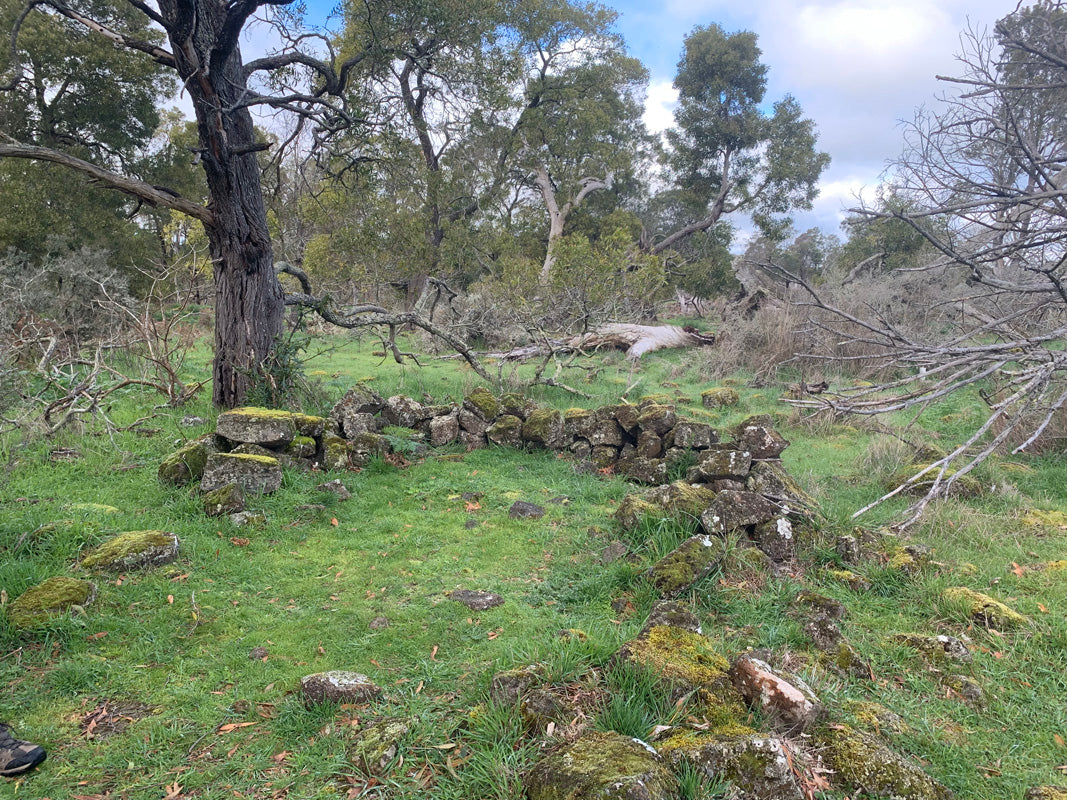 Tungatt Mirring - Stone Country  Half Day Tour