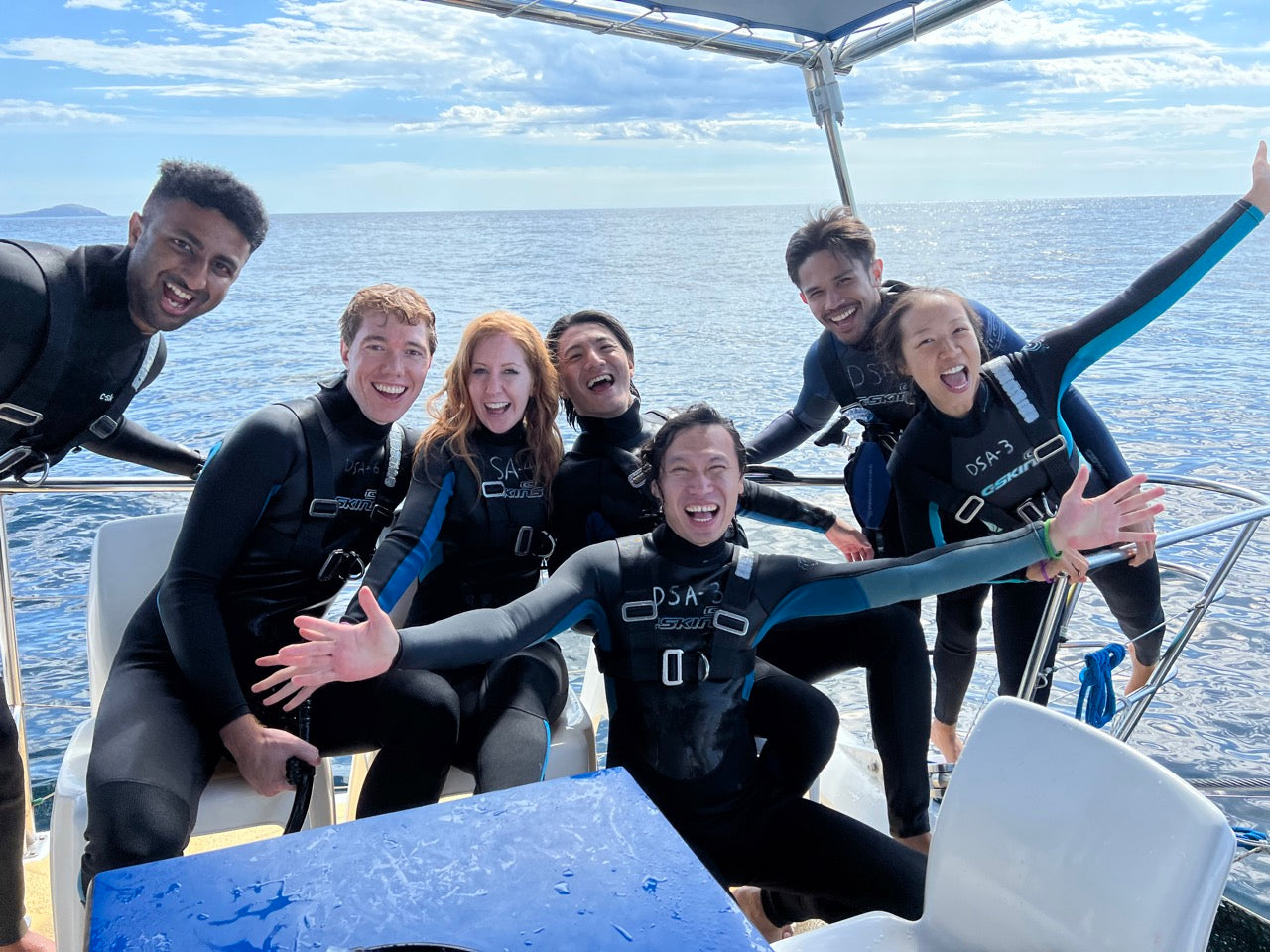 Wild Dolphin Swim & Watch 