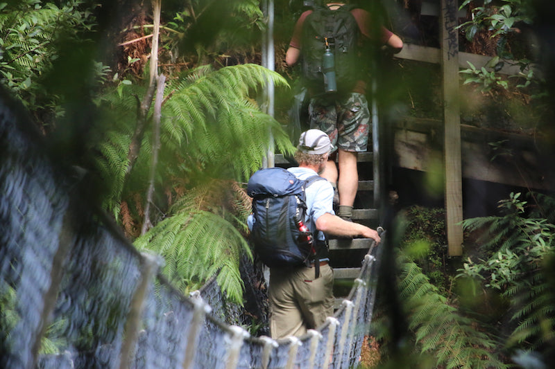 Takayna & Tarkine Wilderness Highlights - Lutruwita Tasmania - 5 Days