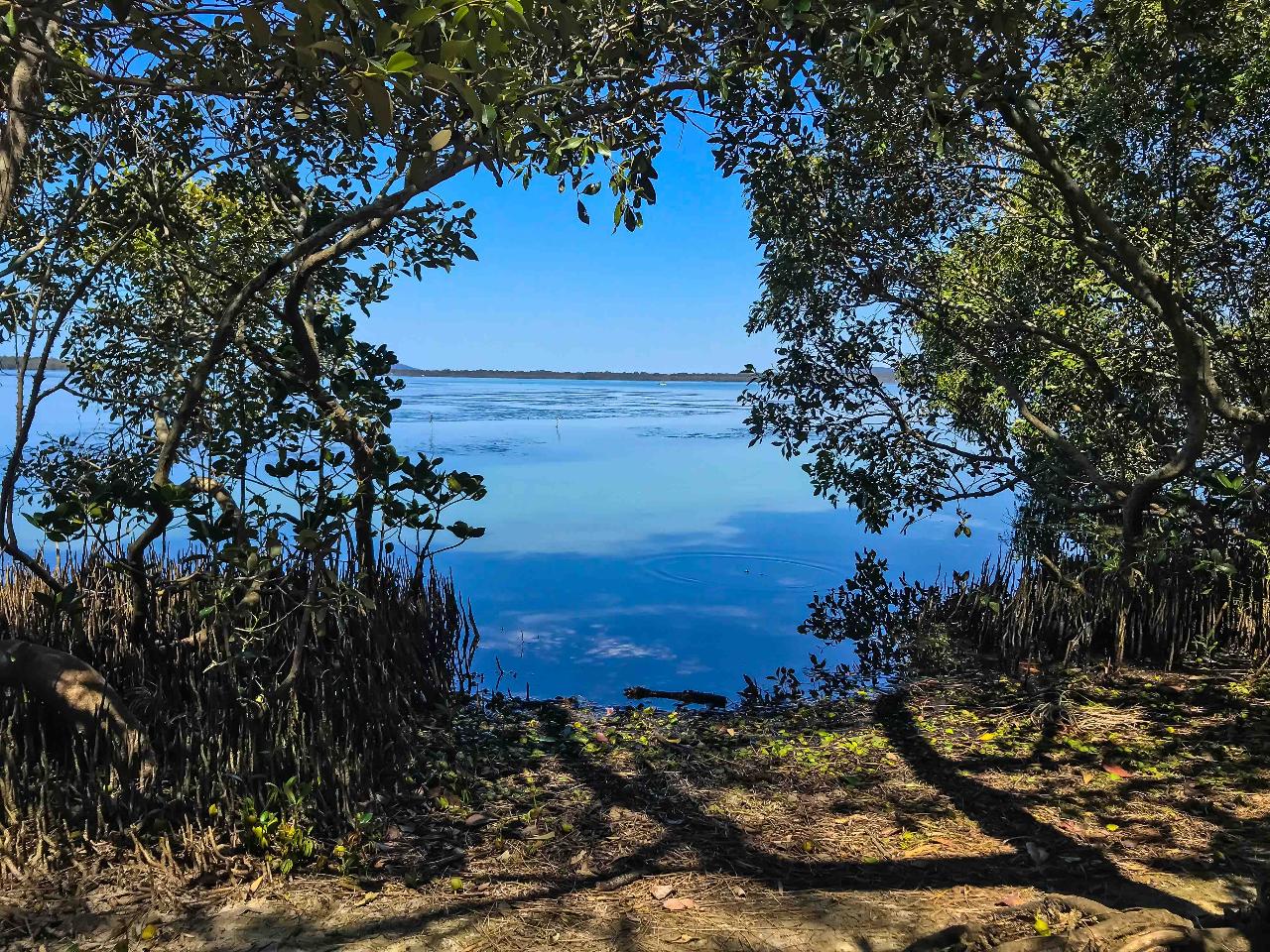 Secrets Of Noosa Tour With Oceanview Lunch, Nature And Noosa River Ferry