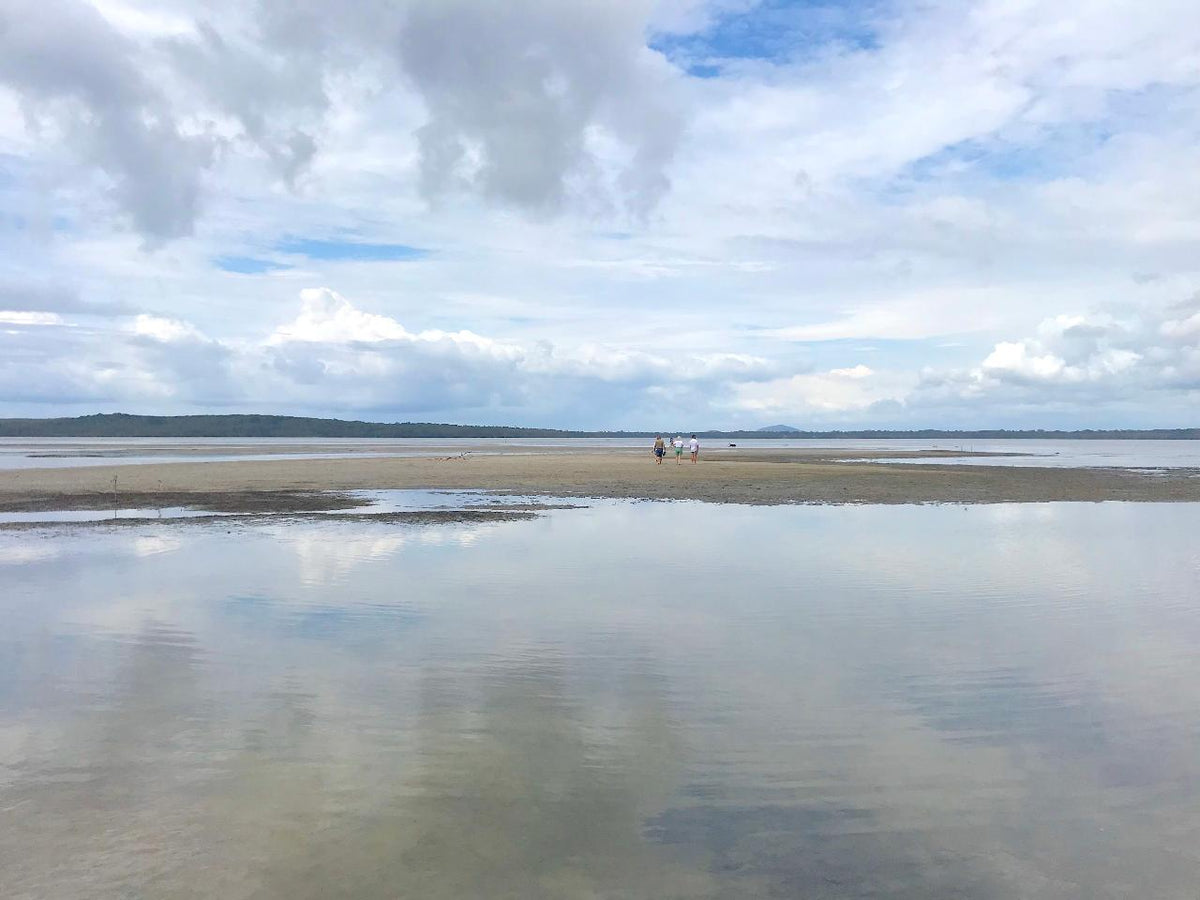 Secrets Of Noosa Tour With Oceanview Lunch, Nature And Noosa River Ferry