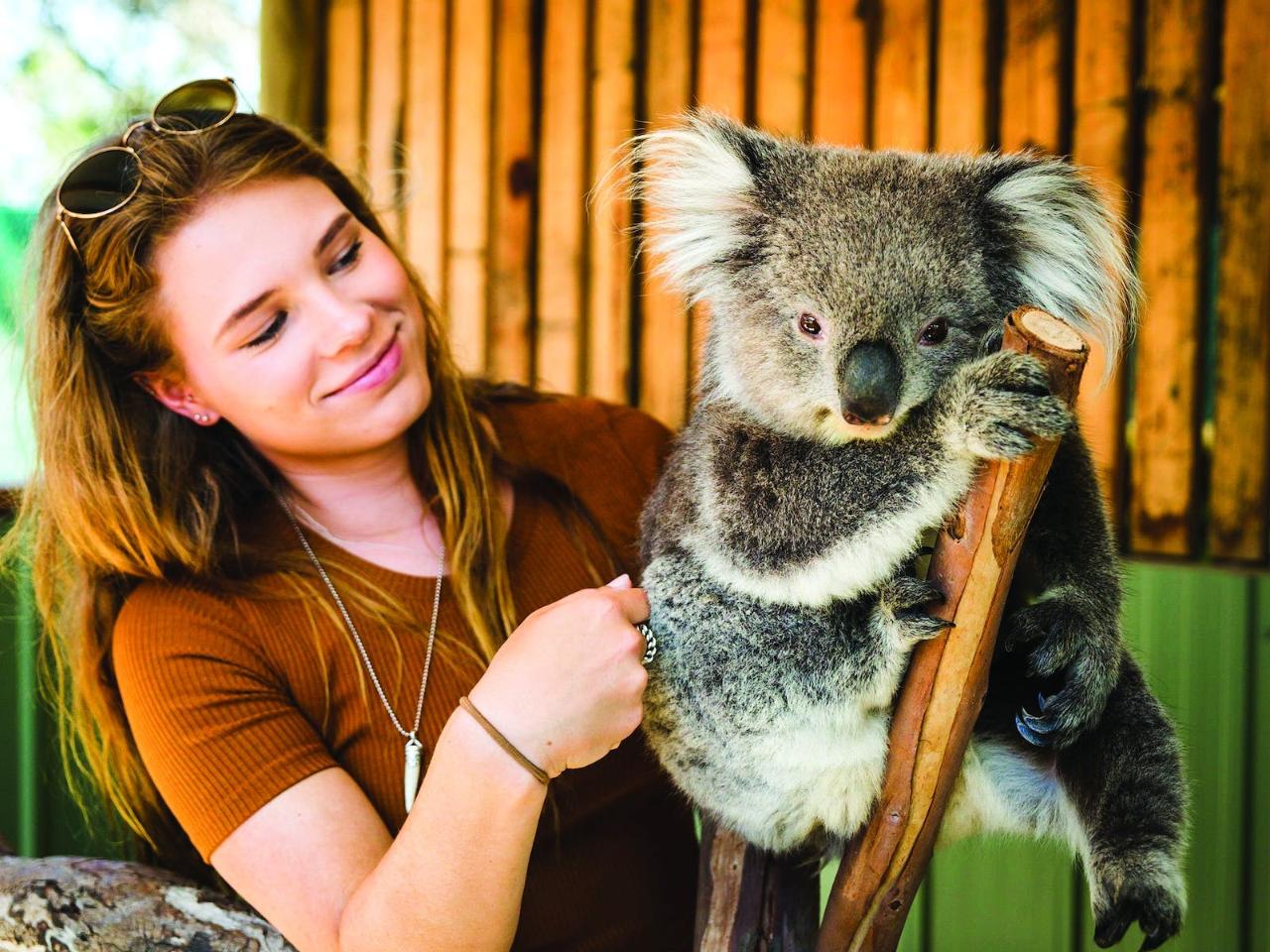 Mornington Peninsula Tour: Moonlit Sanctuary And Arthur Seat Adventure