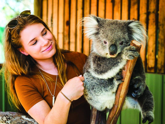 Mornington Peninsula Tour: Moonlit Sanctuary And Arthur Seat Adventure
