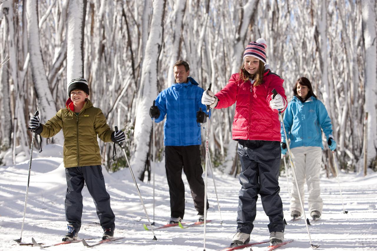 Autopia Tours: Lake Mountain Snow And Waterfalls Tour