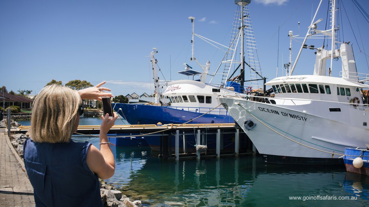 Port Lincoln & Coffin Bay Highlights - 2 Days & 1 Night