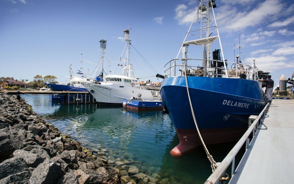 Great White Sharks & Exceptional Port Lincoln - 2 Days & 2 Nights