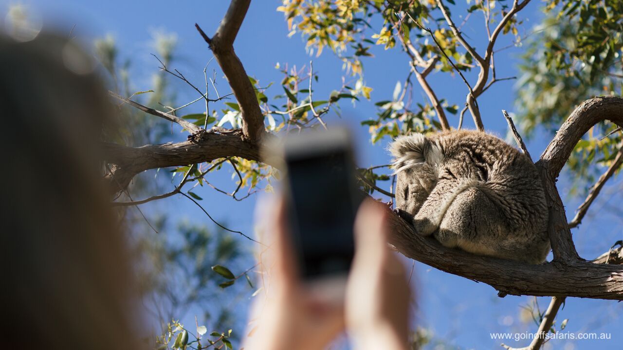 Port Lincoln & Coffin Bay Highlights - 2 Days & 1 Night