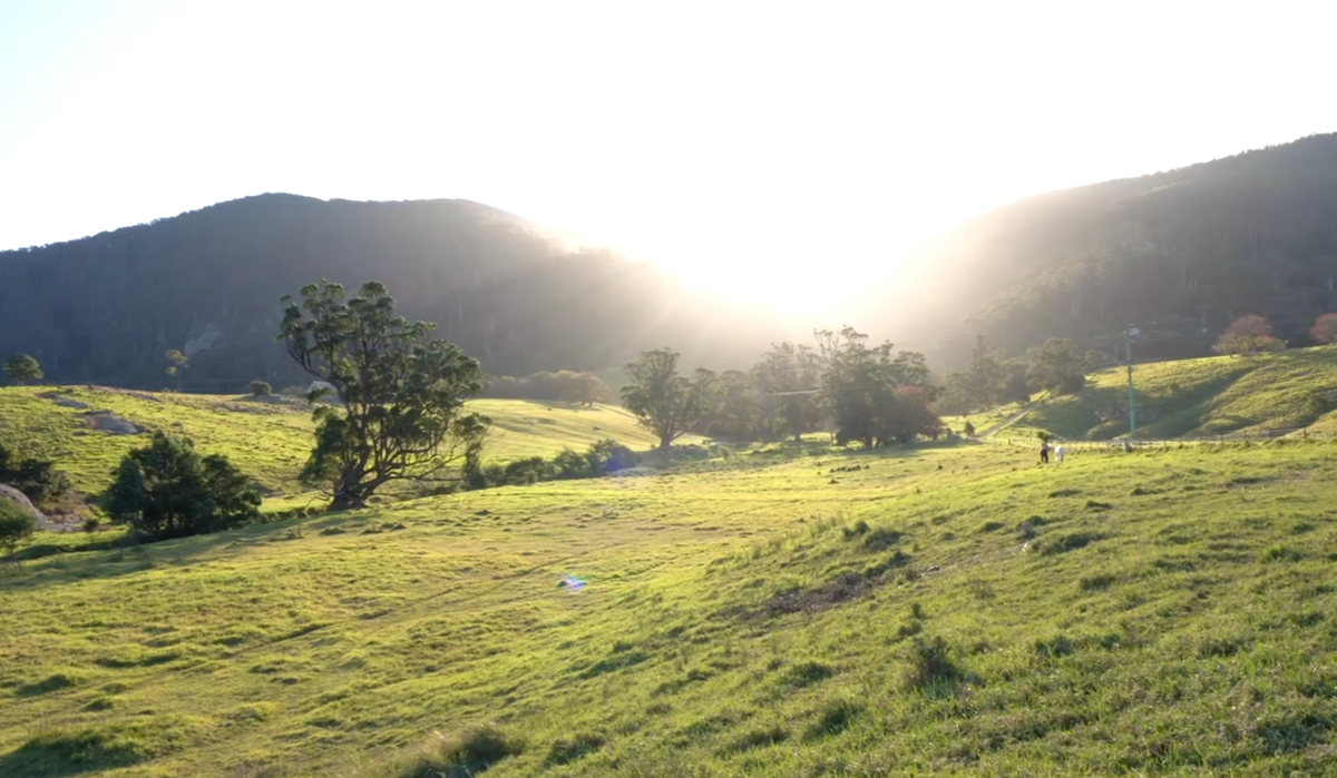 Small Group Tour - Welcome To Country - Two Worlds Cultural Tour - Full Day Tour