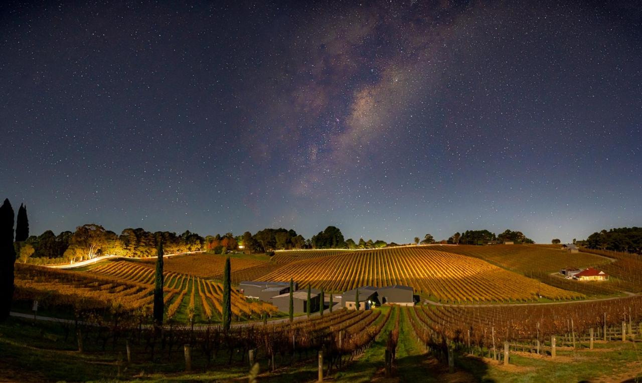 Dark Sky Reserve Astrophotography Tour