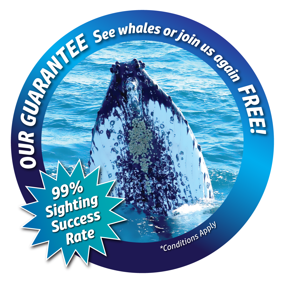Dunsborough Whale Watching Eco Tours