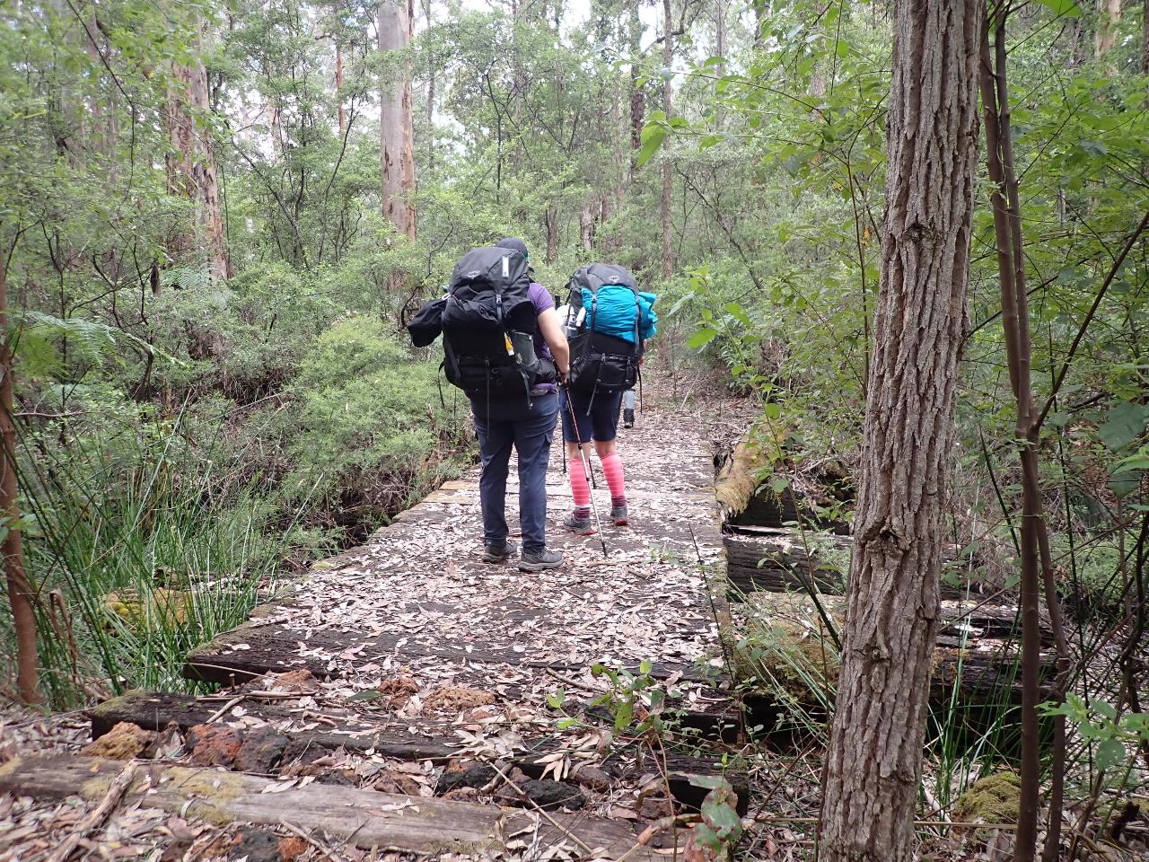 Bibbulmun Multi-Day Hike - Balingup - Donnelly River