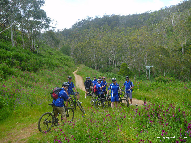 Lofty Descents By Bike