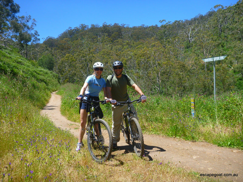 Lofty Descents By Bike