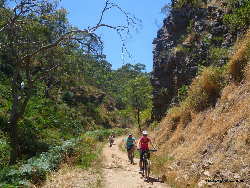 Lofty Descents By Bike