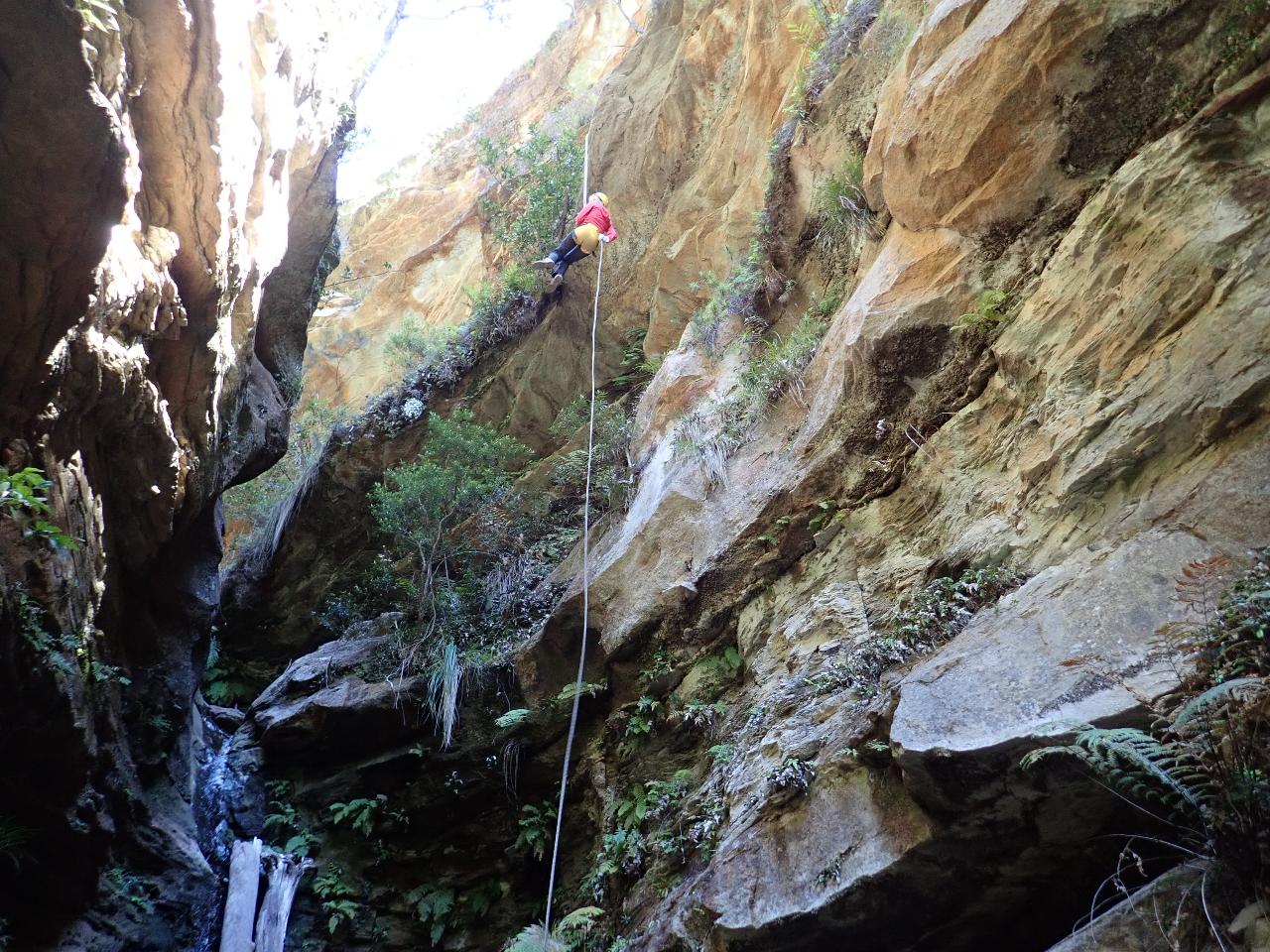 Whungee Whengee Canyon - Blue Mountains