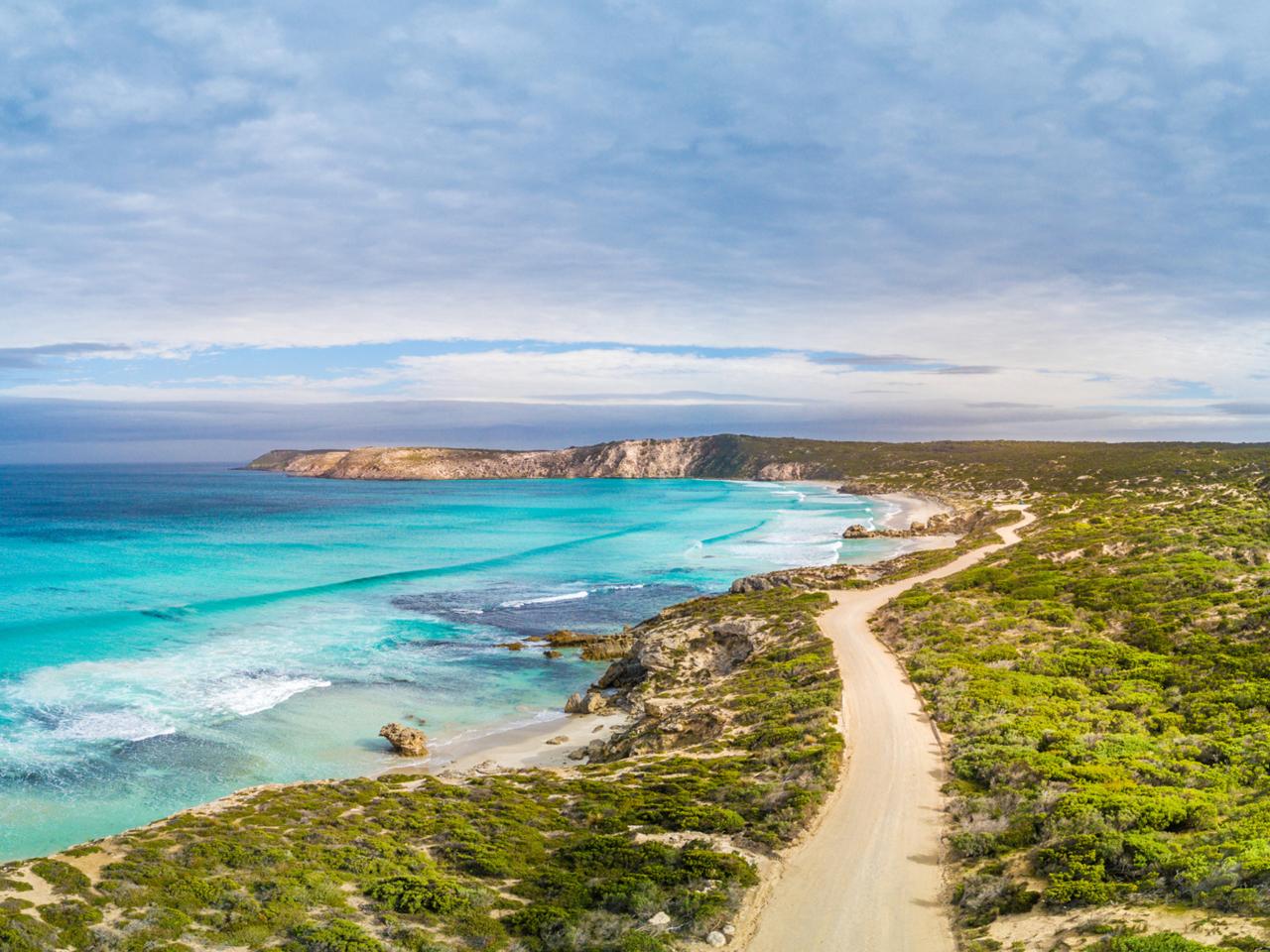 Private Coach - Seal Bay Beach Experience 24 Seater