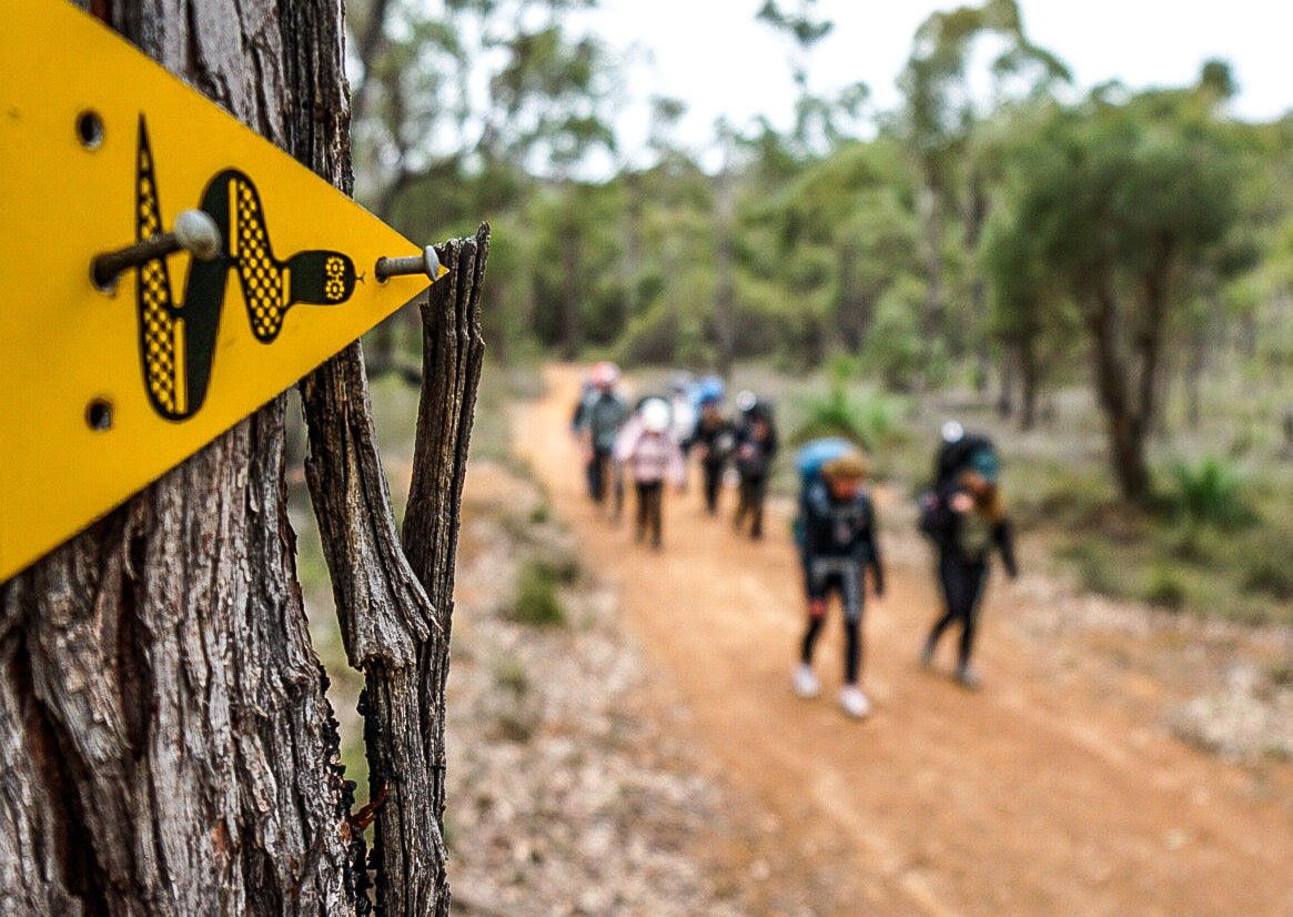 Mt Cooke Overnight Hike