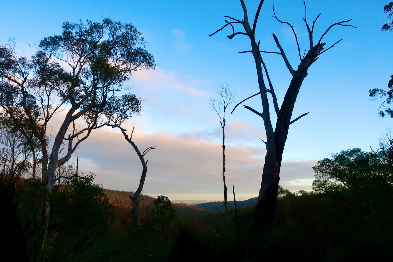 Bickley Valley Hiking Experience