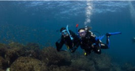 Certified Divers - Cook Island Double Dive Special