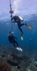 Certified Divers - Cook Island Double Dive Special