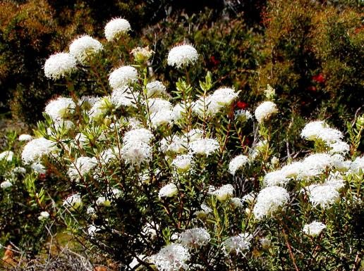 Southern Wheatbelt Wander Two Nights & Three Days