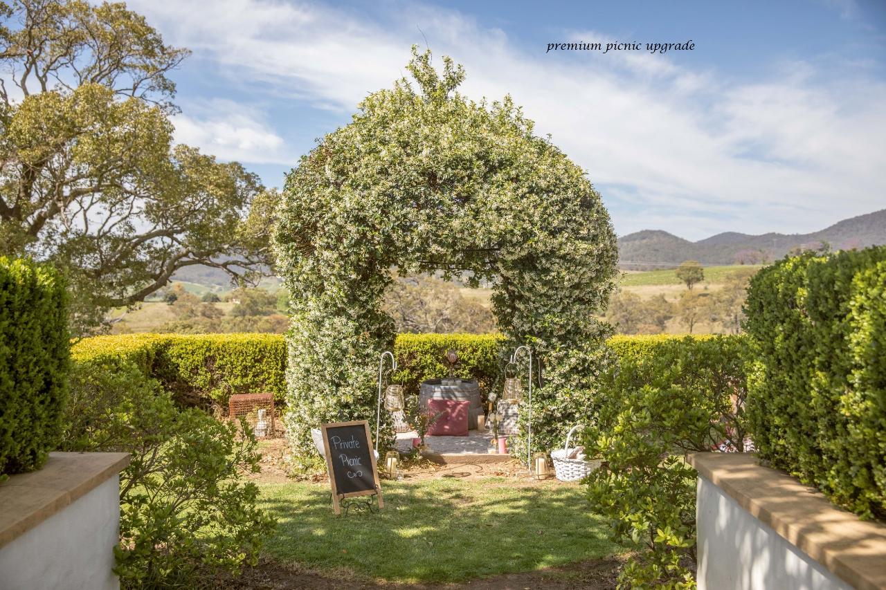 Picnic Among The Vines