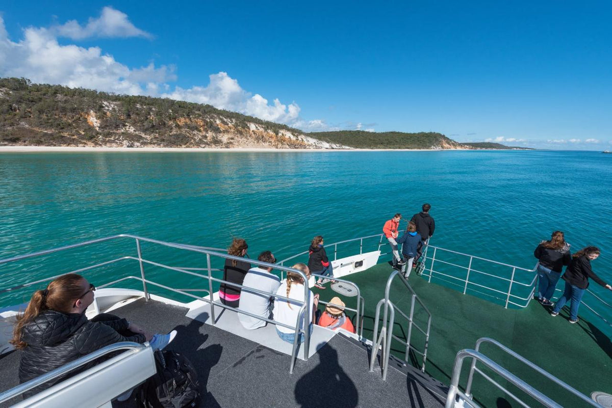 Morning Whale Watch Cruise