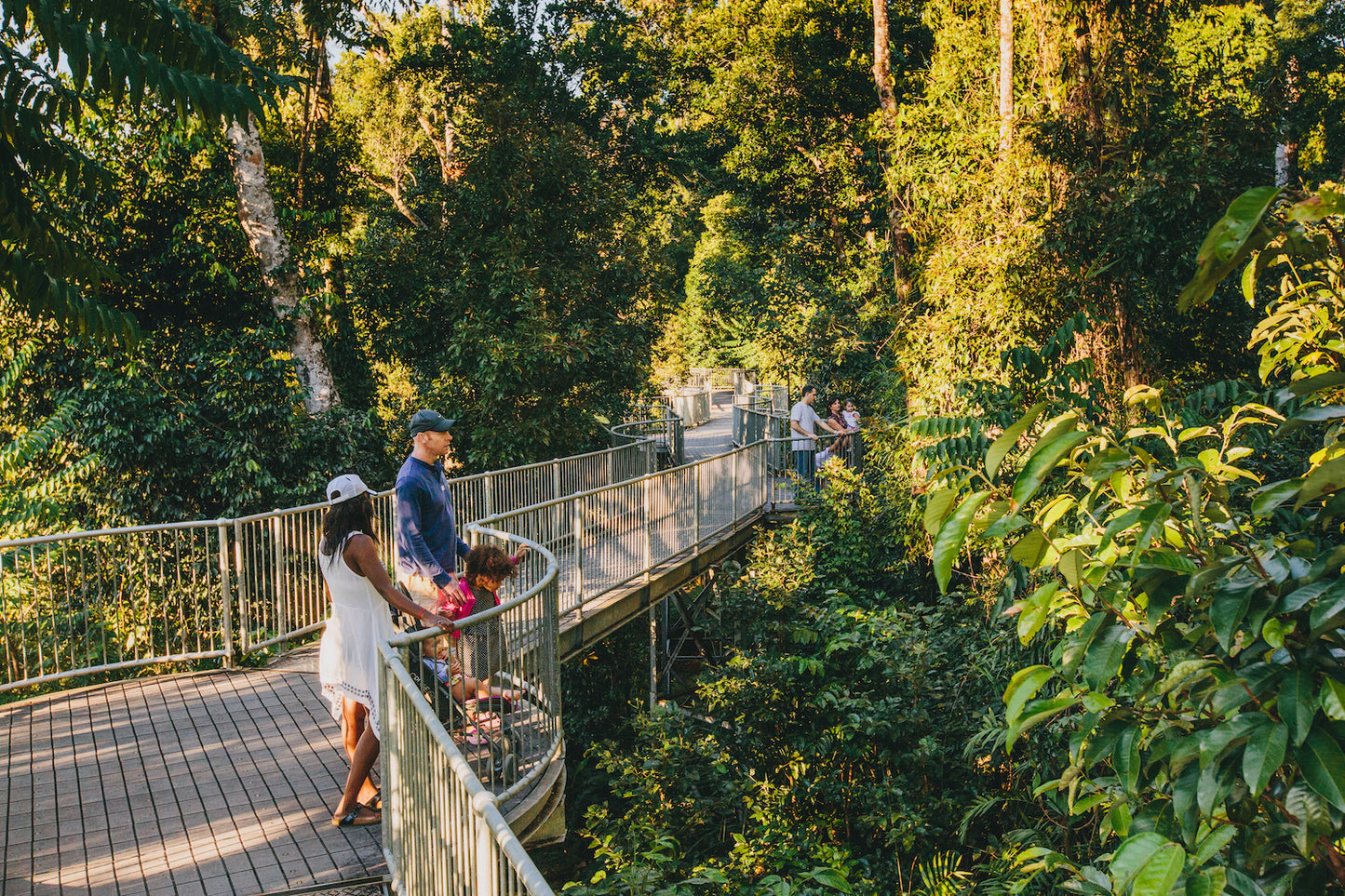 Mamu Tropical Skywalk Admission